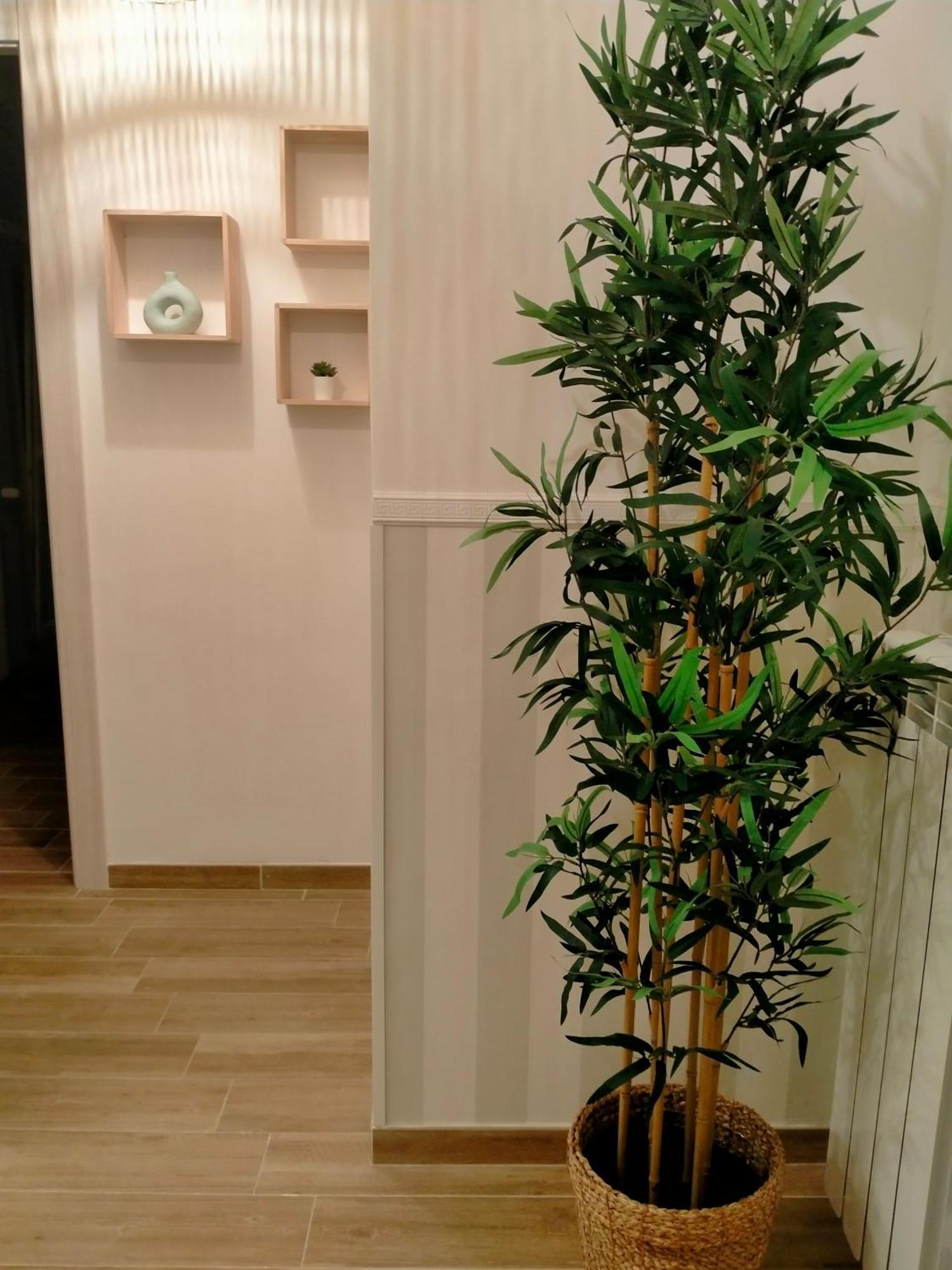 The Green Place Alloggio Turistico โรม ภายนอก รูปภาพ